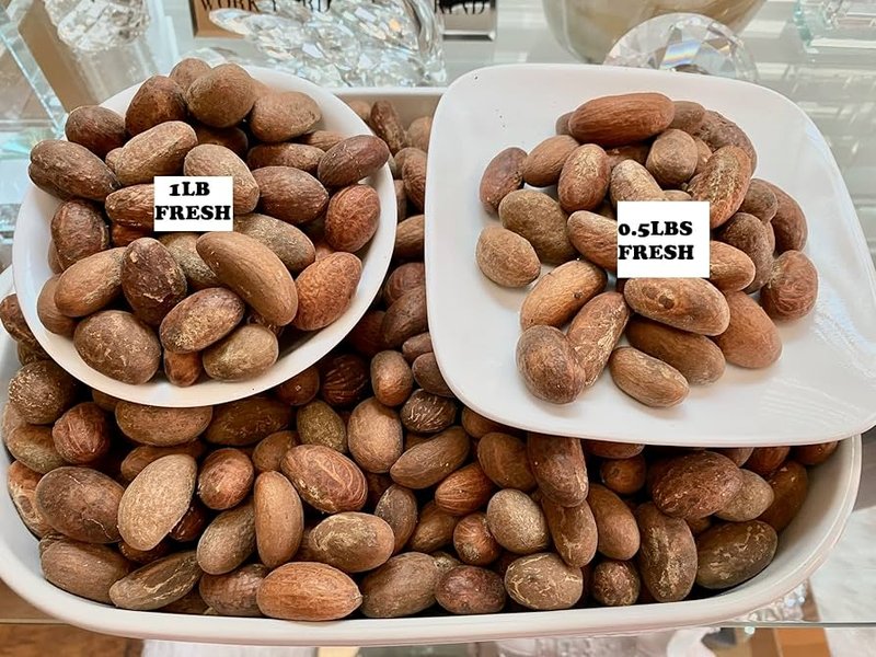 Bitter Kola - African medicinal herb